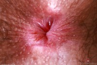 ATK hairy Pearl Sage Set