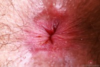 ATK hairy Pearl Sage Set