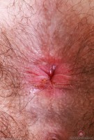 ATK hairy Pearl Sage in scary hairy