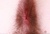 ATK hairy Pearl Sage in scary hairy