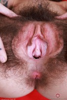 ATK hairy Pearl Sage in scary hairy