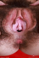 ATK hairy Pearl Sage in scary hairy