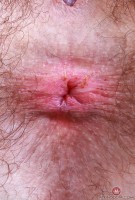 ATK hairy Pearl Sage in scary hairy