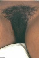 ATK hairy  in exotic and hairy