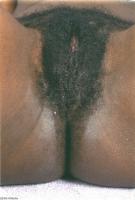ATK hairy Penny Set
