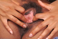 ATK hairy  in exotic and hairy