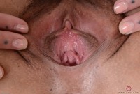 ATK hairy  in exotic and hairy