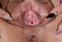 ATK hairy Penelope Reed Set