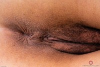 ATK hairy Penelope Reed Set