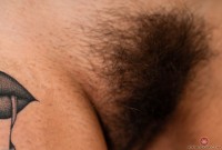 ATK hairy Penelope Reed Set