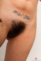 ATK hairy  in exotic and hairy