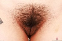 ATK hairy Penelope Reed Set