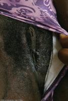 ATK hairy Pepper Set