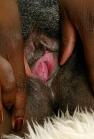 ATK hairy  in hairy fun