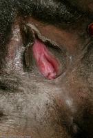 ATK hairy Pepper Set