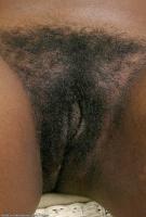 ATK hairy  in exotic and hairy
