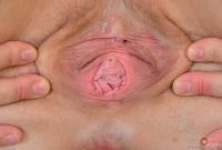 ATK hairy Mischelle Set