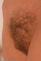 ATK hairy  in scary hairy