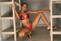 ATK hairy Petalia Set