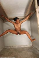 ATK hairy Petalia Set