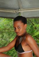 ATK hairy  in exotic and hairy