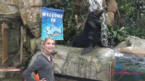 ATK Aunt Judys  in Virtual vacation