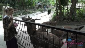 ATK Aunt Judys  in Virtual vacation