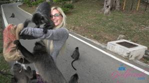 ATK Aunt Judys  in Virtual vacation