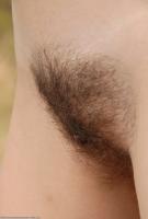 ATK hairy Ponentino in scary hairy