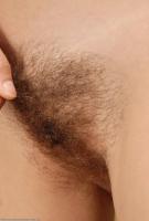 ATK hairy Ponentino in scary hairy