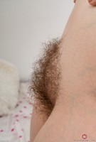 ATK hairy Quinn Helix Set