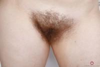 ATK hairy Quinn Helix Set