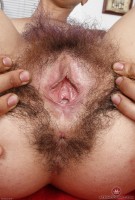 ATK hairy  in exotic and hairy