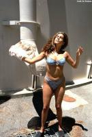 ATK hairy  in exotic and hairy