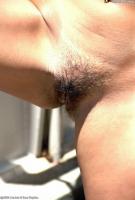 ATK hairy Rajeeka Set