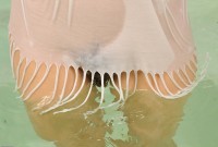 ATK hairy Raven Rockette Set