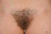 ATK hairy  in mature and hairy