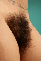 ATK hairy  in exotic and hairy