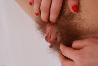 ATK hairy  in exotic and hairy