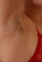 ATK hairy  in scary hairy