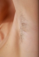 ATK hairy Morgana Set