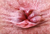 ATK hairy Riley Jean Set