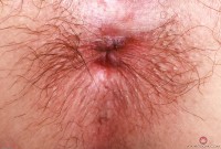 ATK hairy Riley Rose in mature and hairy