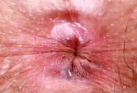 ATK hairy Riley Rose in mature and hairy
