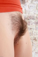 ATK hairy Rita Set