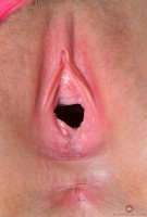 ATK hairy Rococo Royalle in young and hairy