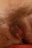 ATK hairy Rosy in scary hairy