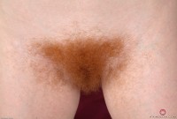 ATK hairy Rosie Set