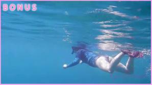 ATK Aunt Judys Rosalyn Sphinx in Virtual vacation