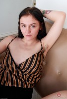 ATK hairy Rosalyn Sphinx in young and hairy